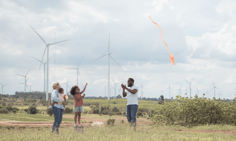 Driving Systemic Action on Climate and Environment: Insights from Projects Across Sectors